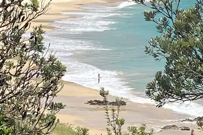 Image de Yallumbee, Seal Rocks - Modern, Private Beach House In Prime Location