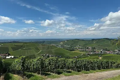 Image de Staufenbergblick Durbach