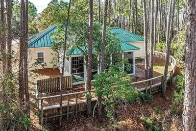 Image de It's like living in a park: Birds, Wildlife, Tall pines the serenity of Nature