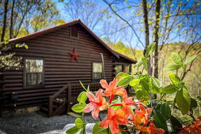 Image de Bigfoot's Hideaway | Hot Tub | Fire Pit | Cozy Wooded Retreat
