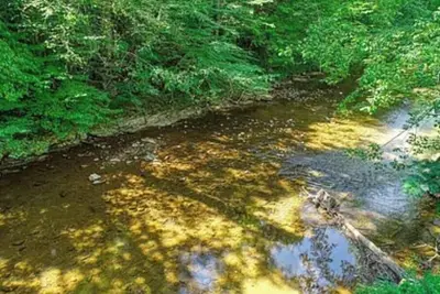 Image de Thirsty Bear Ranch, 2bed\/2bath, next to cattle ranch and the little pigeon River