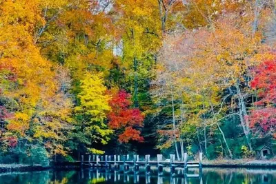 Image de Waterfront home on Mill Creek-5br-Hot tub & Kayaks