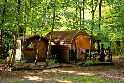 Image de Pod en forêt près du château Highclere
