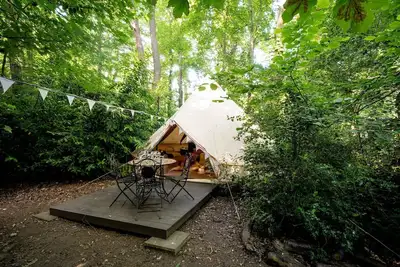 Image de Pod en forêt près de Highclere Castle