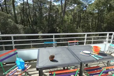 Image de Notre-Dame-de-Monts : Appartement 4 pers, terrasse vue forĂŞt
