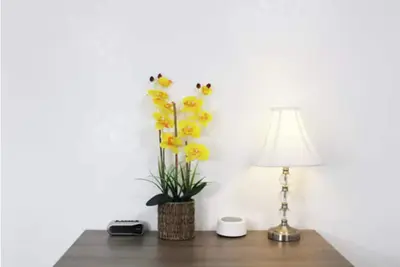 Image de Lovely Private Room in a nice house with Ac, WiFi