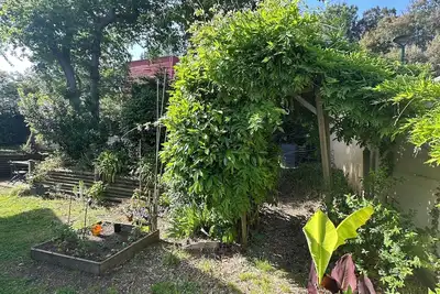Image de Appartement ensoleillé entouré de verdure