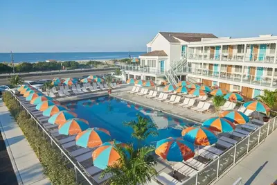 Image de Beachside Lounge & Listen – Live Tunes, Pool Time & Total Relaxation