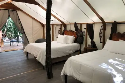 Image de Mossquatch Resort Tent 5- Upgrade your camping experience!