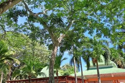 Image de Cozy Town House Beach, Golf