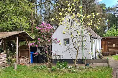 Image de Tiny house in the Wingster Forest, near Nordesse, peace & relaxation in nature