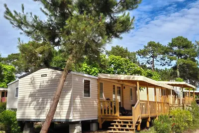 Image de Mobilhome Sur le Cap Ferret dans les pinèdes, dans un camping 4 étoiles.