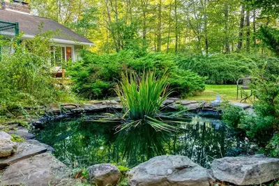Image de Serene Woodstock home with birdsong