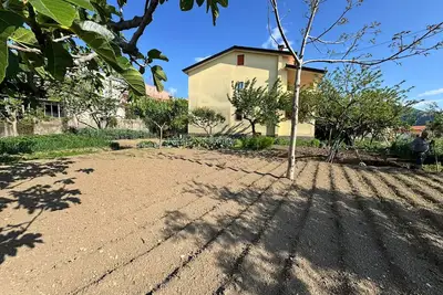 Image de Home & Garden