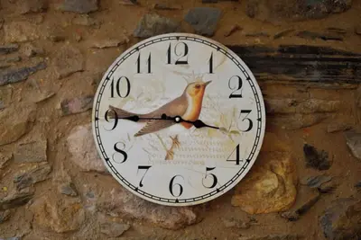 Image de Refúgio do Raposo - Casa Altair