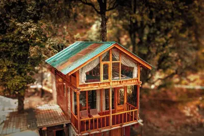 Image de Wow Duplex Treehouse