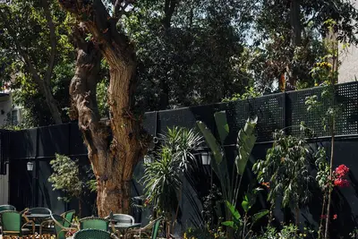 Image de Private fully serviced villa in Maadi, with a private pool, kitchen and garden.