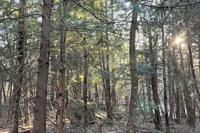 Image de Forest and Feathers Retreat