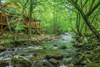 Image de New! Elk Rapids on Cosby Creek