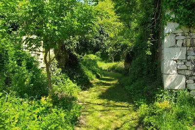 Image de Gite \"Le petit coteau\"