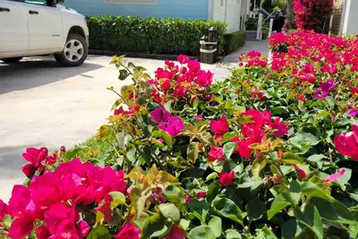 Image de Charming 3-bedroom house with dock in Key Largo with ocean access