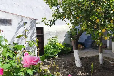 Image de The Well House