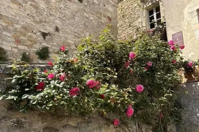 Image de Maison au pied du château de Grignan