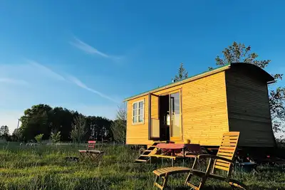 Image de Beautiful circus wagon on the sheep pasture