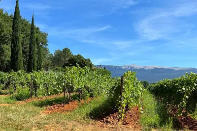 Image de Villa des Oliviers