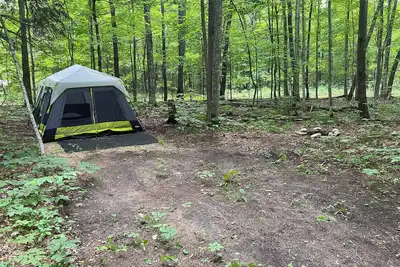 Image de Tent w/ Mattresses on Private wooded camp site