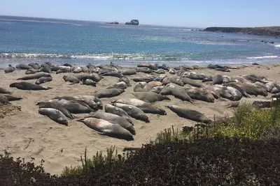 Image de 180 Ocean View Decks 4-bedroom house in Cambria