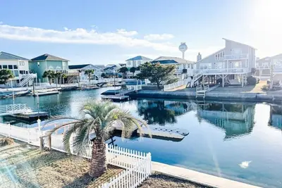 Image de Pug Life - Walk to the Ocean!