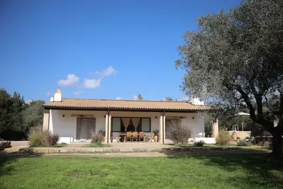 Image de Among olive trees, rural house with small pool for living immersed in the landscape.