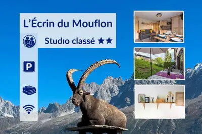 Cosy studio, idéal détente, rando, Vtt et ski