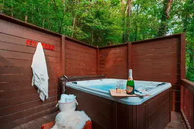 Image de Pet-Friendly, Hot Tub, Game Room