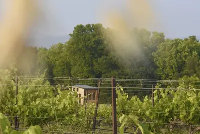 Image de La Tiny House des Vignes du château de Vauclaire