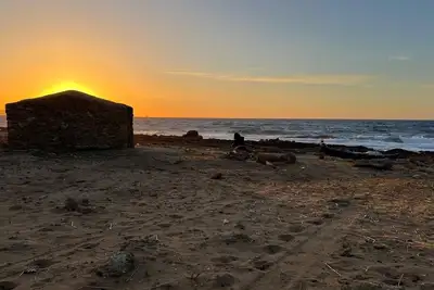 À 100m de la superbe plage de Chott Mami La résidence le Marin Appart Onyx