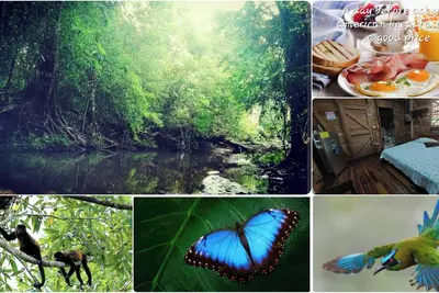 Image de Nicoya Jungle House