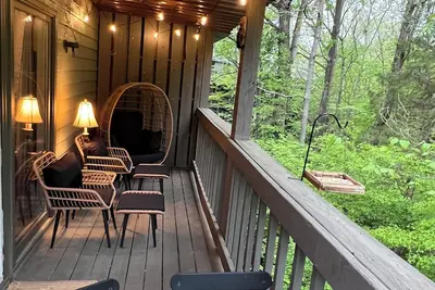 Image de The Eagle's Nest & Bird Watching