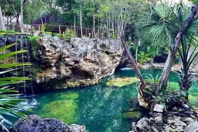 Image de Stunning family home shared pool & cenote