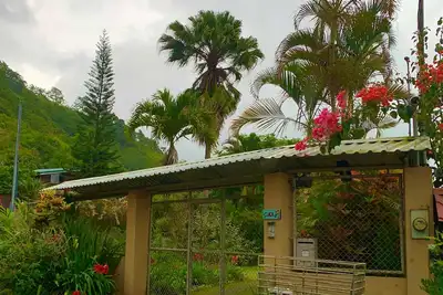 Image de Costa Rica charm in the central valley w/large garden with views!