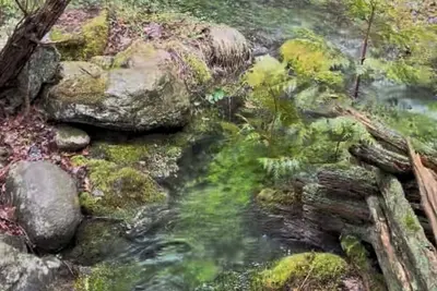 Image de Manitoulin Island-Gorgeous Lakefront with Natural Spring Waterfall