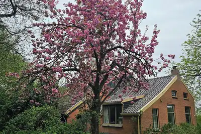 Image de Charming 2-bedroom, petfriendly barn in fabulous Bellingwolde with WiFi
