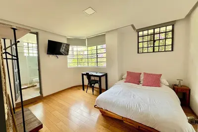 Image de Homey 2-Br Loft Great Located in Condesa, Mexico City
