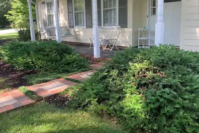 Image de Modern & Bright 3-bedroom house in Greenville between airport & downtown w/ WiFi