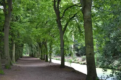 Image de Family Adventure in Bergen | Cycling & Hiking Trails Near Beach Escape
