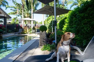 Image de Belle Escapes Villa Riviera