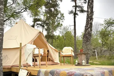 Image de Unique glamping experience with alpacas in the countryside near Laholm