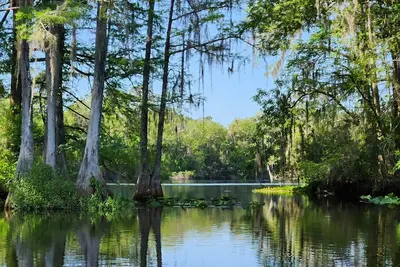 Wise Owl Retreat, a beautiful suite amongst towering oaks, on the River.