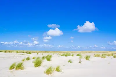 Image de 2 Nature escape | Free parking | Near Nature park, Beach vibes & Nature trails